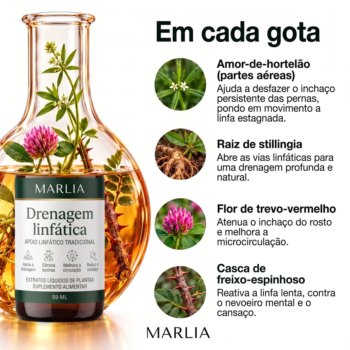 Em cada gota: amor-de-hortelão, raiz de stillingia, flor de trevo-vermelho, casca de freixo-espinhoso